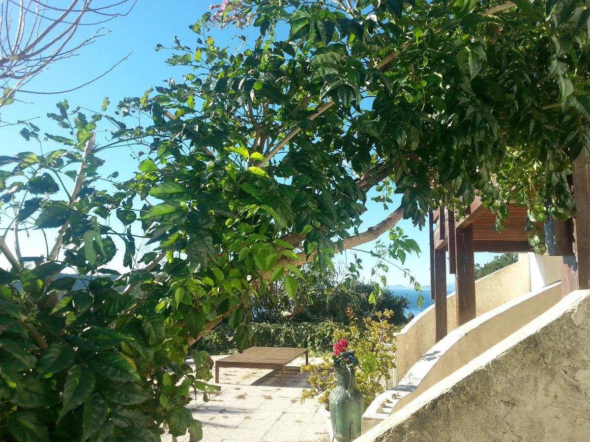 La Coccinelle Aparthotel Île du Levant Exteriör bild